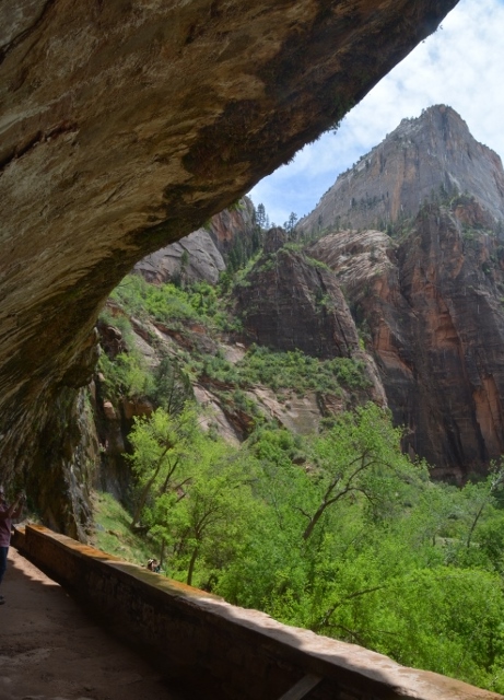 the Weeping Rock